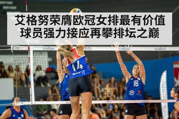 volleyball match action